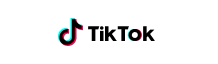 TikTok to Shopify API (CAPI)
